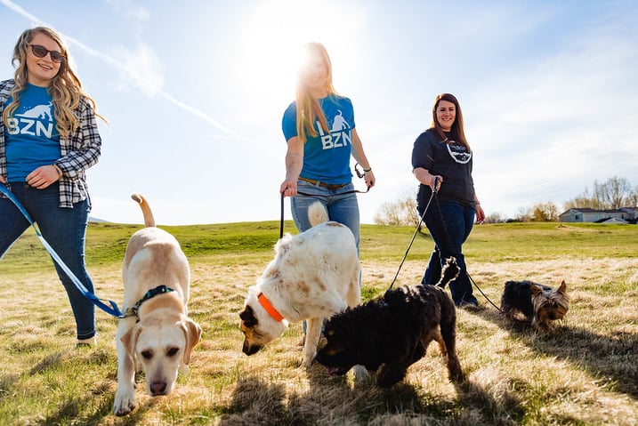 two women in blue shirts walking dogs on a grassy field
